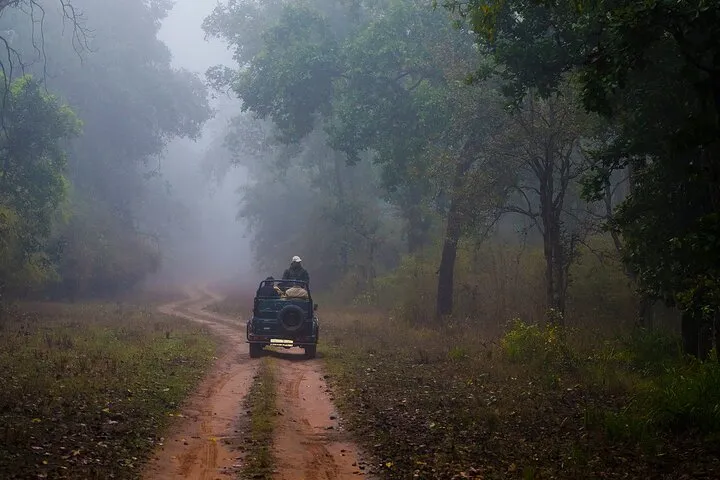 Full-Day Private Safari Tour to Ranthambore National Park
