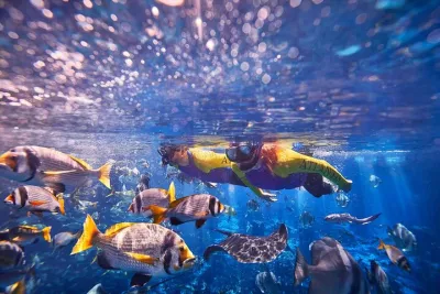 Dubai Lost World Aquarium Ultimate Snorkel Experience