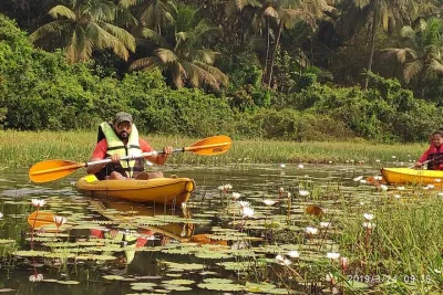 Goa Kayaking Sal Backwaters Mangroves Magic!