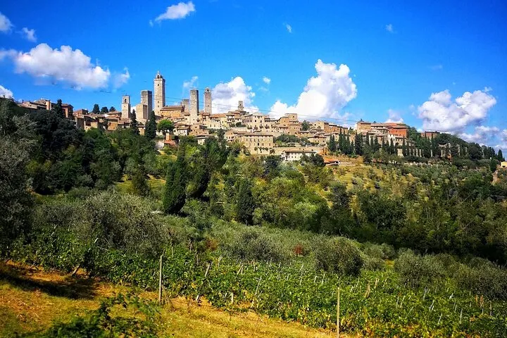 Chianti to San Gimignano E-bike Tour