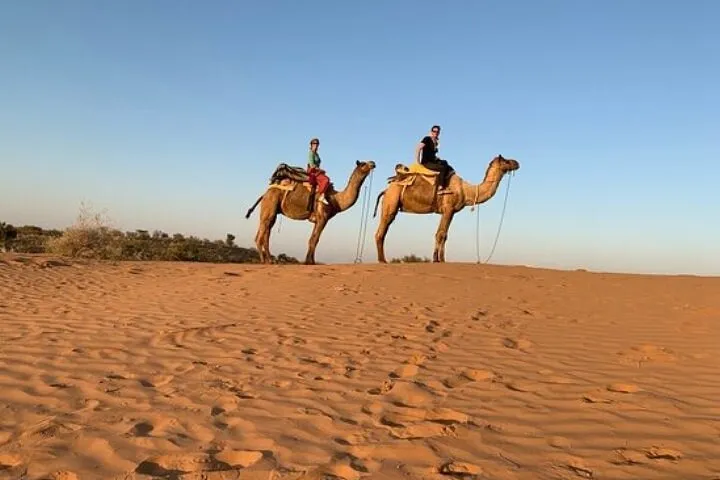 Camel Safari Day Trip From Jodhpur