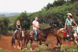 Oahu Sunset Horseback Ride