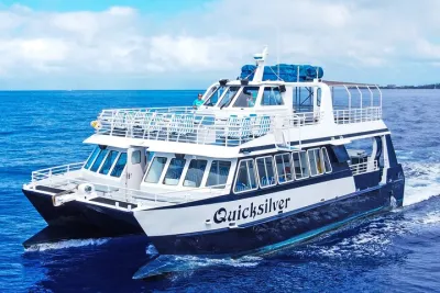 Quicksilver Coral Gardens Morning Snorkel Cruise