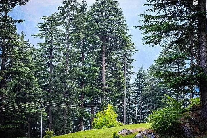 Magical Manali Honeymoon Package