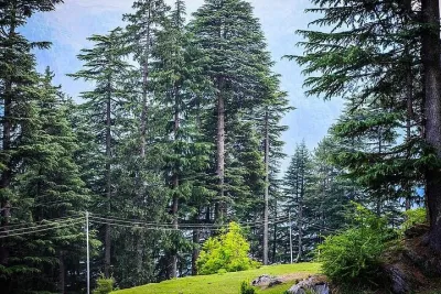 Magical Manali Honeymoon Package