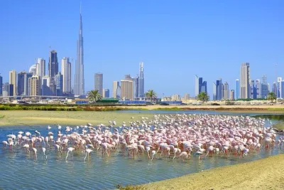 Charming Dubai City Tour with The View at The Palm - Scenic Tourist Attraction