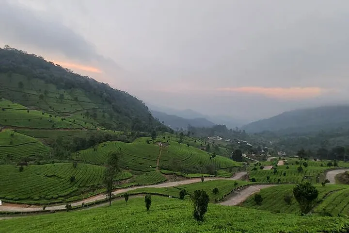 4 Nights Private Deluxe Tour Cochin/Munnar/Thekkady/Houseboat