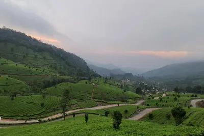 4 Nights Private Deluxe Tour Cochin/Munnar/Thekkady/Houseboat