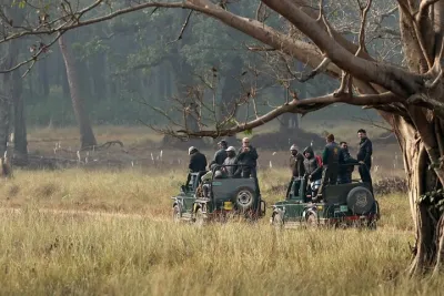 Incredible Wildlife Safari in Heart of Central India
