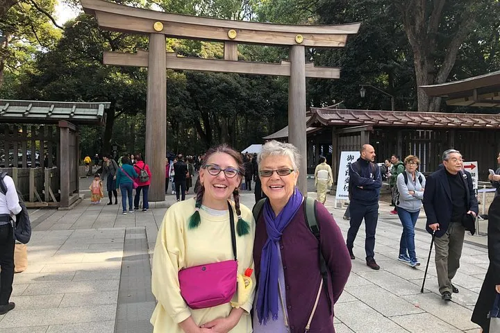 Tokyo Customized Private Car Tour: English Driver, No Guide