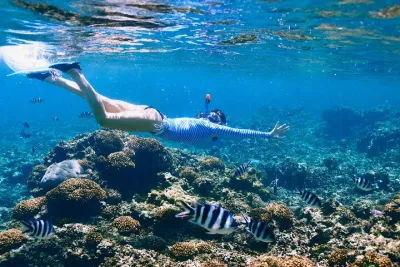 Reef Snorkeling with ATV, Zipline, Cenote that includes lunch and transportation
