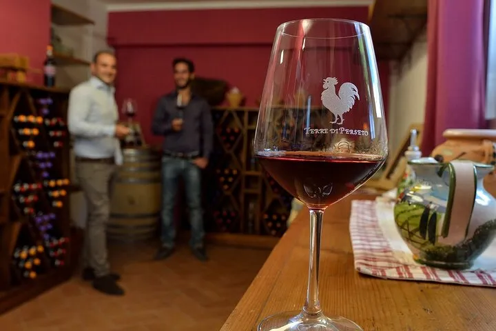 4 Wines & 2 Olive Oils Tasting in Chianti Winery with Tour