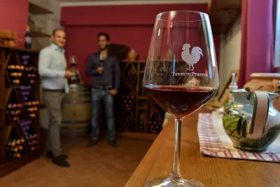 4 Wines & 2 Olive Oils Tasting in Chianti Winery with Tour
