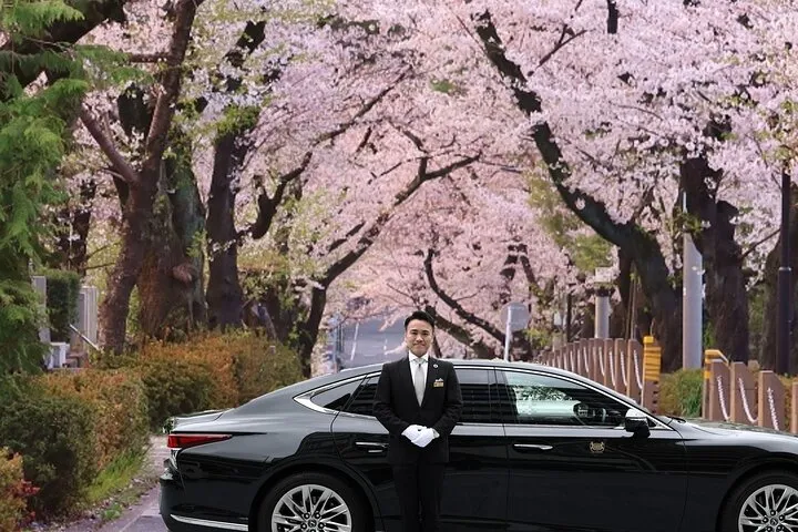 Cherry Blossom Tour in Tokyo by Private Vehicle