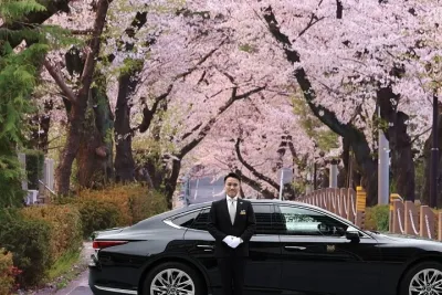Cherry Blossom Tour in Tokyo by Private Vehicle