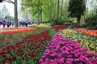 Private Day Trip to Keukenhof and The Tulperij