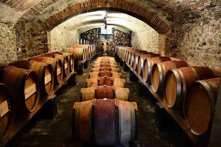 Exclusive Private Chianti Classico Experience from Florence