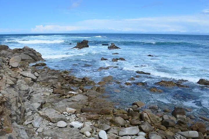 From San Francisco Across Monterey Peninsula+Carmel 1 Day Tour