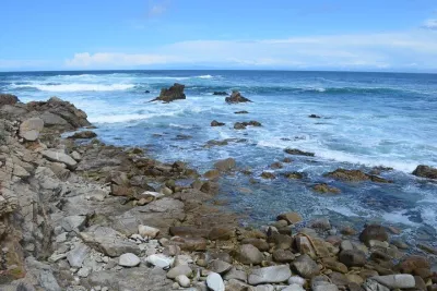 From San Francisco Across Monterey Peninsula+Carmel 1 Day Tour