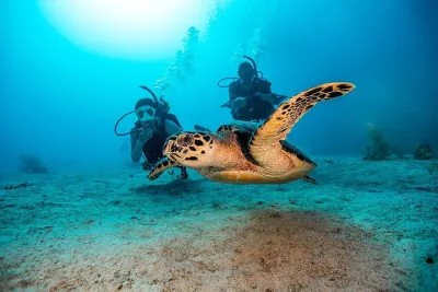 2 Dives for Certified Divers in Fujairah with transfer