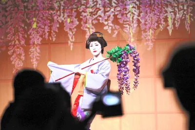 EDOCCO Tea House - All in One Japanese Cultural Experience