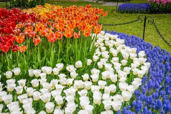 Windmill Island Gardens Day Tour from Chicago – Kids Save 50%