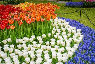 Windmill Island Gardens Day Tour from Chicago – Kids Save 50%