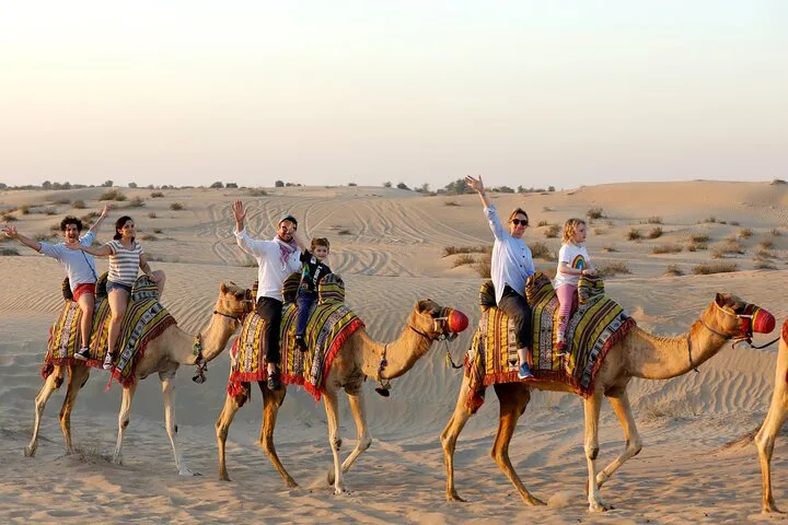 Evening Camel Caravan, Bedouin Dinner with Al Marmoom Oasis