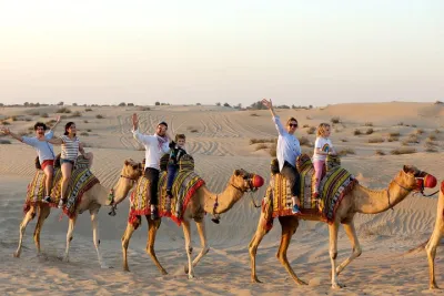 Evening Camel Caravan, Bedouin Dinner with Al Marmoom Oasis