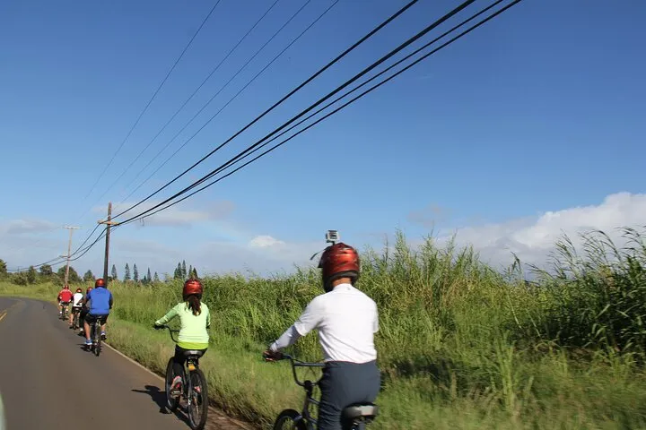 Predawn-Morning Haleakala Bike Tour 6,500 to Sea Level