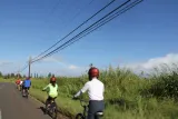 Predawn-Morning Haleakala Bike Tour 6,500 to Sea Level