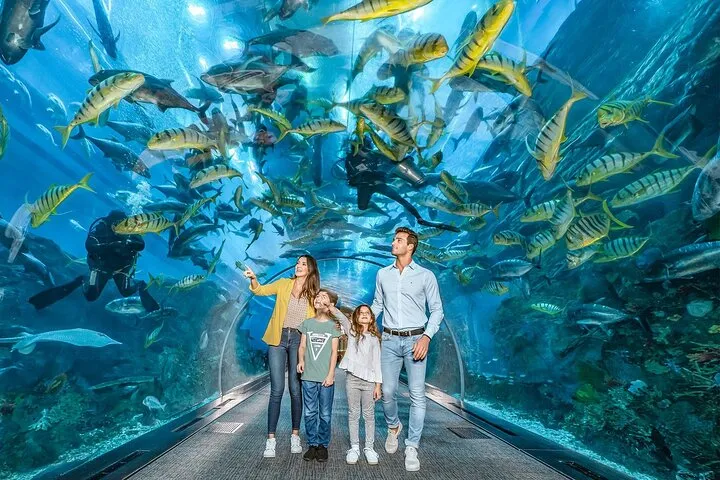 Dubai Mall Aquarium & Underwater Zoo Ticket with Private Transfer