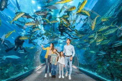 Dubai Mall Aquarium & Underwater Zoo Ticket with Private Transfer