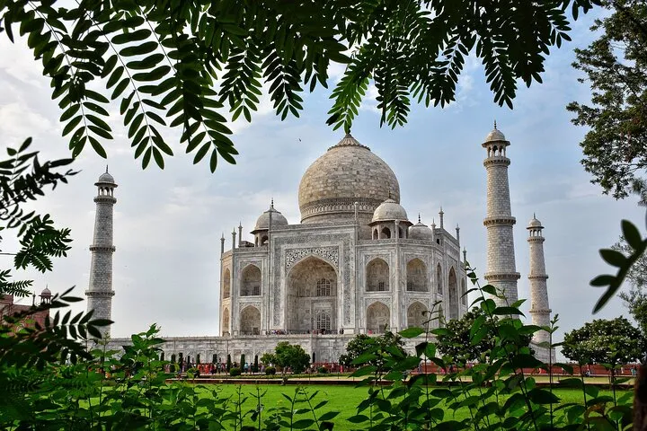 From Delhi: Sunrise Taj Mahal & visit Elephant Conservation