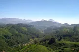 3 Nights Private Deluxe Tour- Cochin/Munnar/Houseboat/Cochin