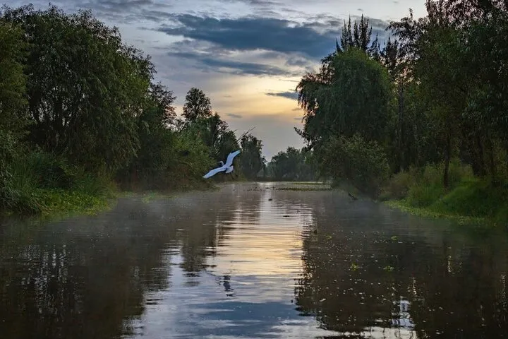 Xochimilco Sunrise from Mexico