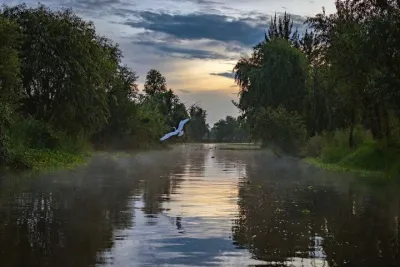 Xochimilco Sunrise from Mexico