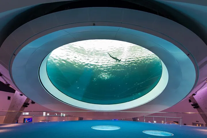 Frost Science Museum Admission Tickets