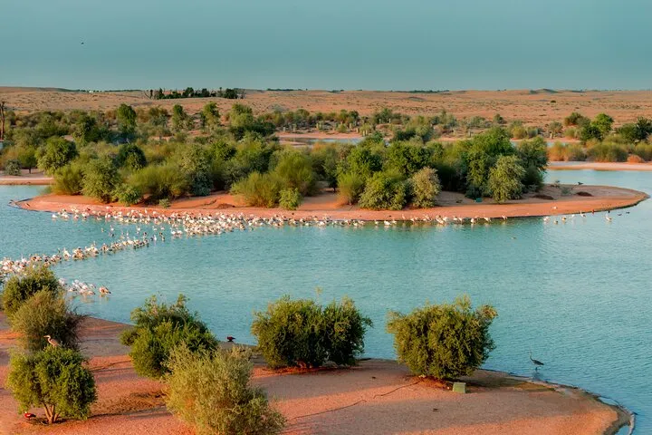 From Dubai: Full day Al Marmoom, Al Qudra Lakes with Dinner