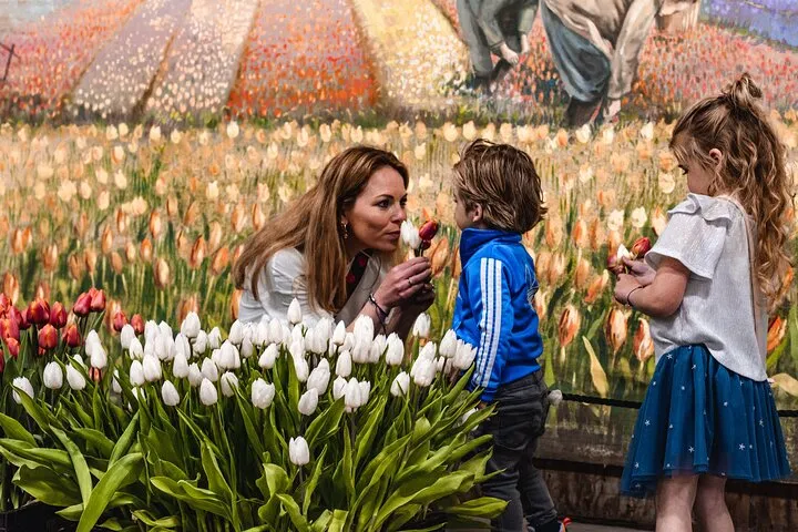 Sightseeing Keukenhof Tulip fields, Giethoorn tour from Amsterdam