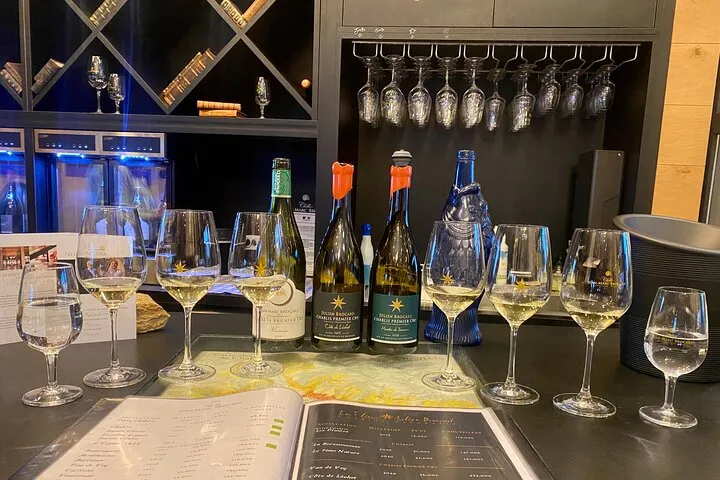 Chablis 20 Exquisite Wines Tasting Trip in Small-Group from Paris