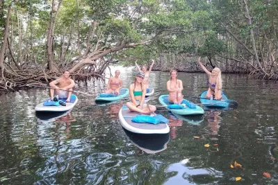 Mangrove Jungle Exploration on SUP/Kayak