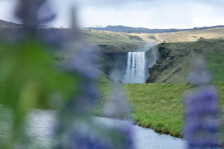 South Coast Adventure Private Tour
