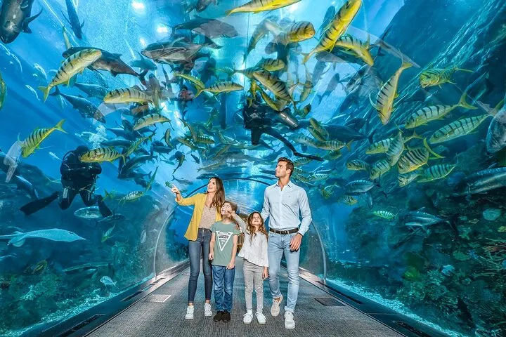 Dubai Mall Aquarium &Underwater Zoo Ticket's With Transfer