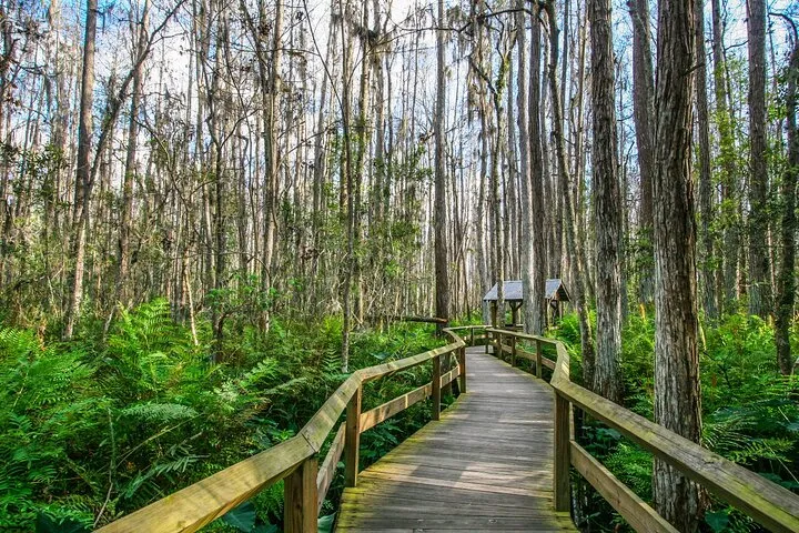 Ultimate Florida Self Guided Driving & Walking Audio Tour Bundle