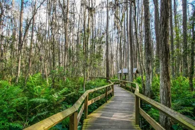 Ultimate Florida Self Guided Driving & Walking Audio Tour Bundle
