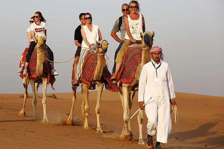 Morning Desert Safari With Camel Ride
