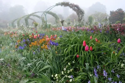 Audio Tour in Giverny and Versailles with Pick up and Drop off