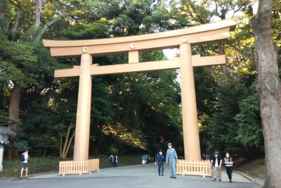Tokyo Half Day Private Tour / Customization & Hotel Gathering OK!