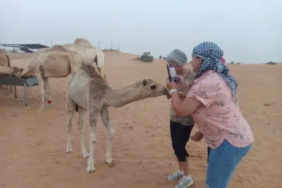 Morning Desert Safari in Nazwa Desert